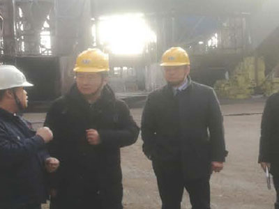 Zhang Jun, Deputy Director of Suqian Economic and Credit Commission, visited our company